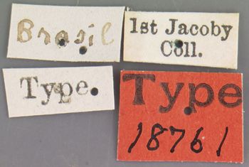 Media type: image; Entomology 18761   Aspect: labels